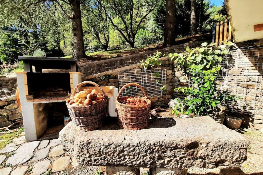 Chalet 14 Pers Avec Vue Panoramique Et Piscine Chauffee Genolhac Dış mekan fotoğraf